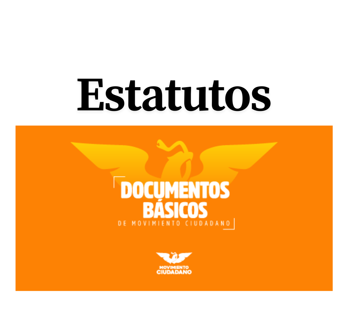Abrir documento básico de movimiento ciudadano Estatutos