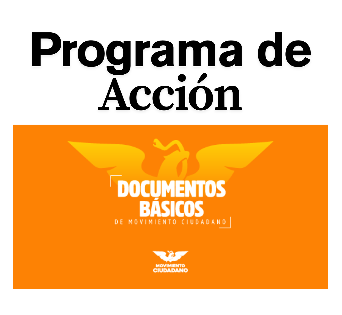 Abrir documento básico de movimiento ciudadano Programa de acción