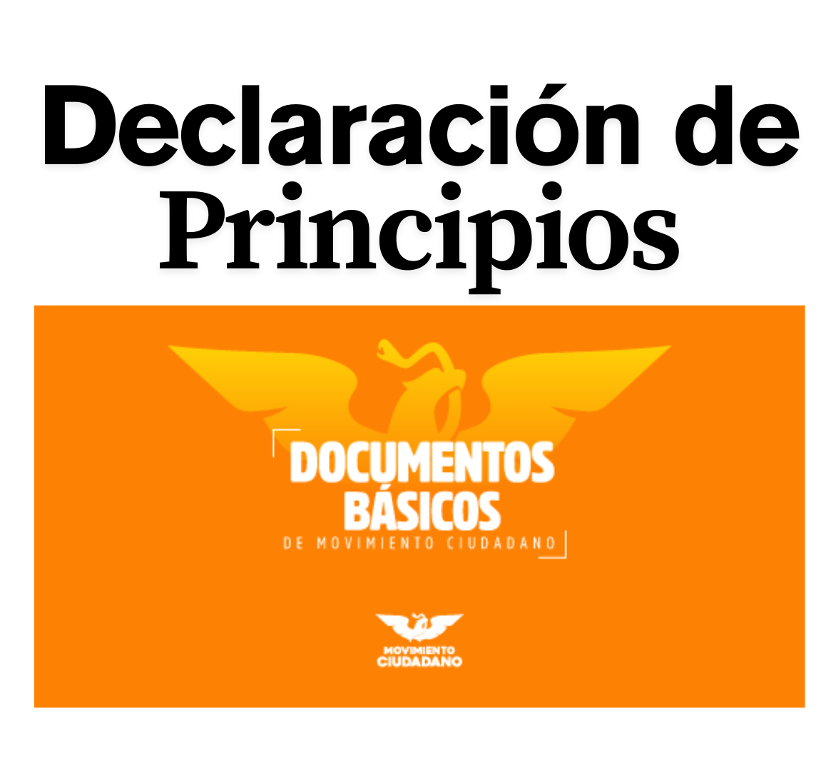 Abrir documento básico de movimiento ciudadano Declaración de principios
